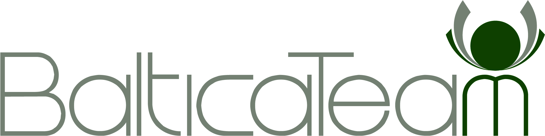BalticaTeam GmbH